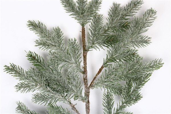 Branches for Decoration 5 feet.jpg