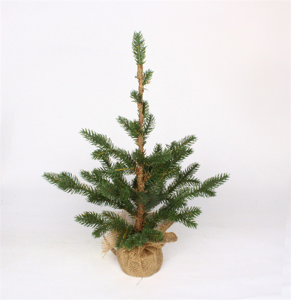 Cedar Trees for Christmas.jpg