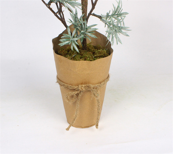 Christmas Cedar Trees in Paper Pot.jpg